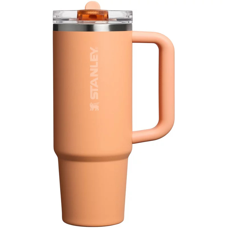 Stanley Quencher ProTour Flip Straw 30 oz Oasis Tumbler | Academy Sports + Outdoors