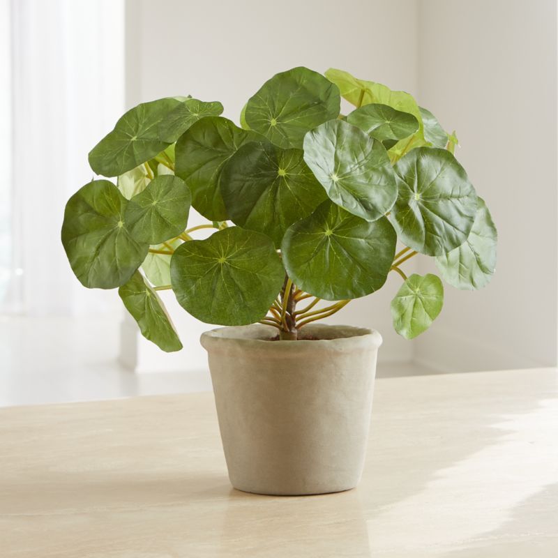 Artificial Potted Nasturtium + Reviews | Crate and Barrel | Crate & Barrel