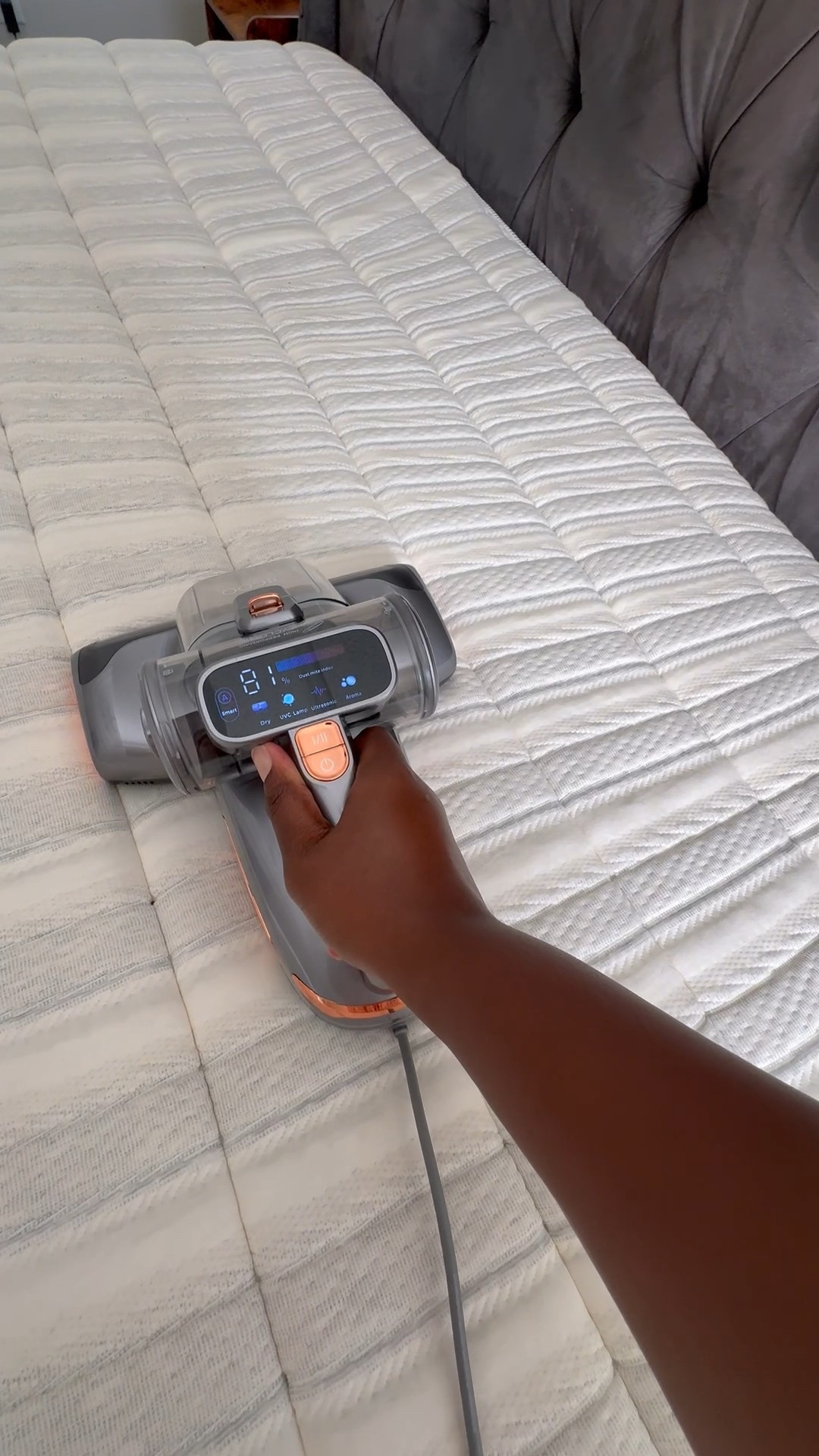 Shop this amazon prime day deal 

#LTKHome #LTKFindsUnder100