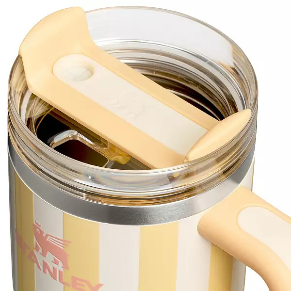 Stanley 20 oz. Quencher H2.0 FlowState Tumbler - Oasis Collection | DICK'S Sporting Goods