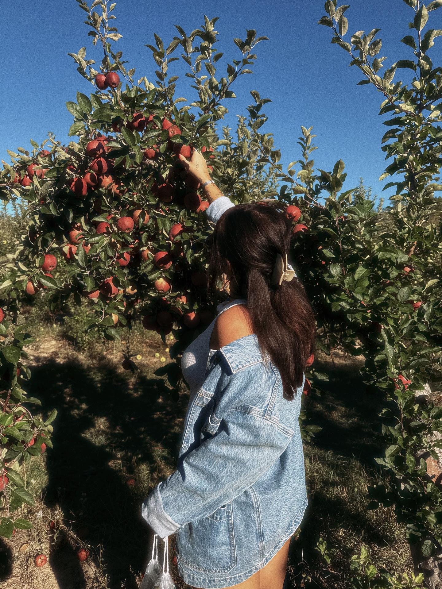 still waiting for tom to make my apple pie🍎🤎