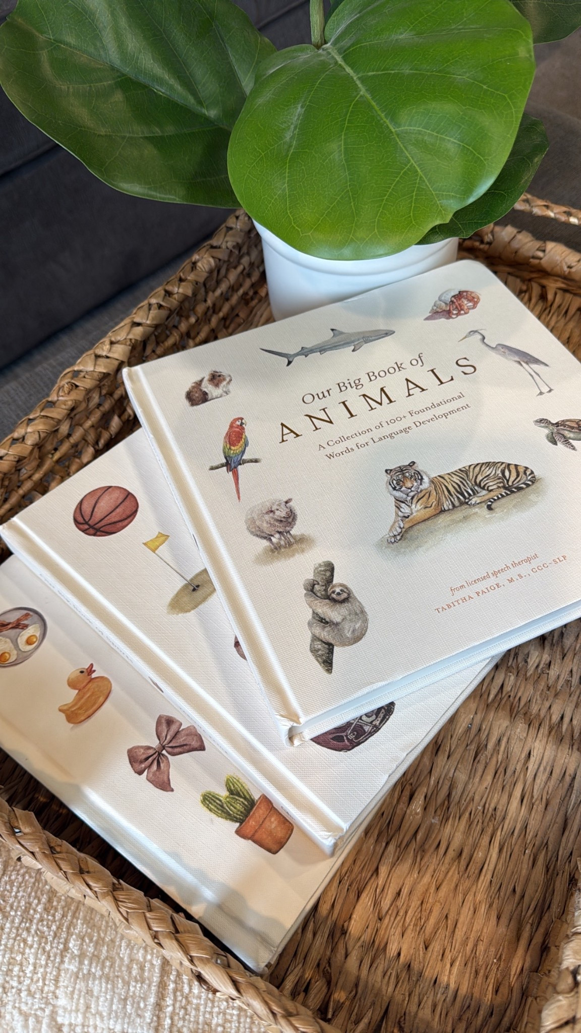 I absolutely love this artist/author and my kids love reading these books! Her new book, Our Big Book of Animals has already been a hit at our house! 📚

#kids #books #toddler #baby #babygift #babyshower #giftidea #giftguide #amazon #educational #showergift #pregnancy #reading #learning #home #family

#LTKmomlife #LTKKids #LTKHome