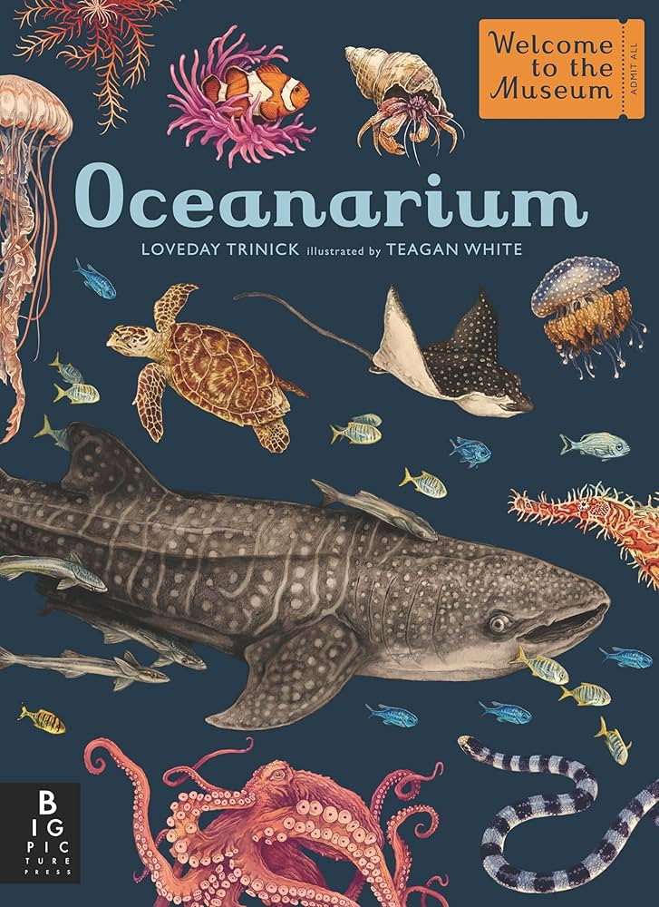Oceanarium: Welcome to the Museum | Amazon (US)