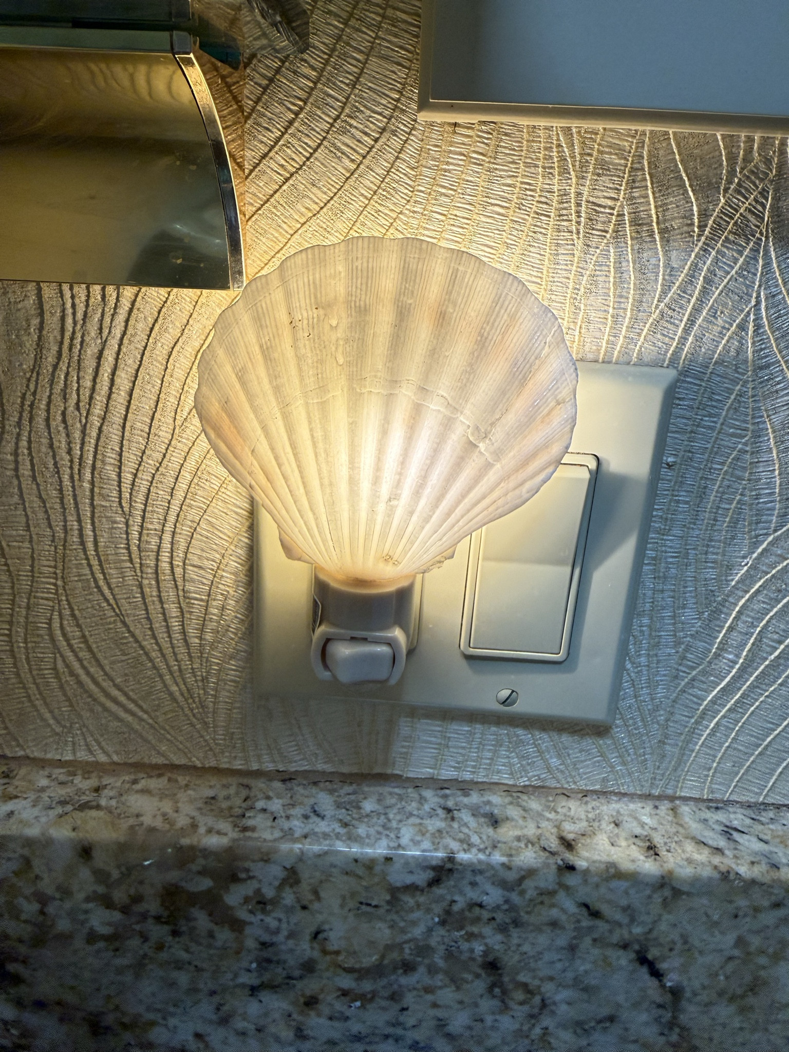 How cute is this seashell night light? Perfect for a nautical lover or a house with coastal decor.

#LTKKids #LTKSeasonal #LTKHome