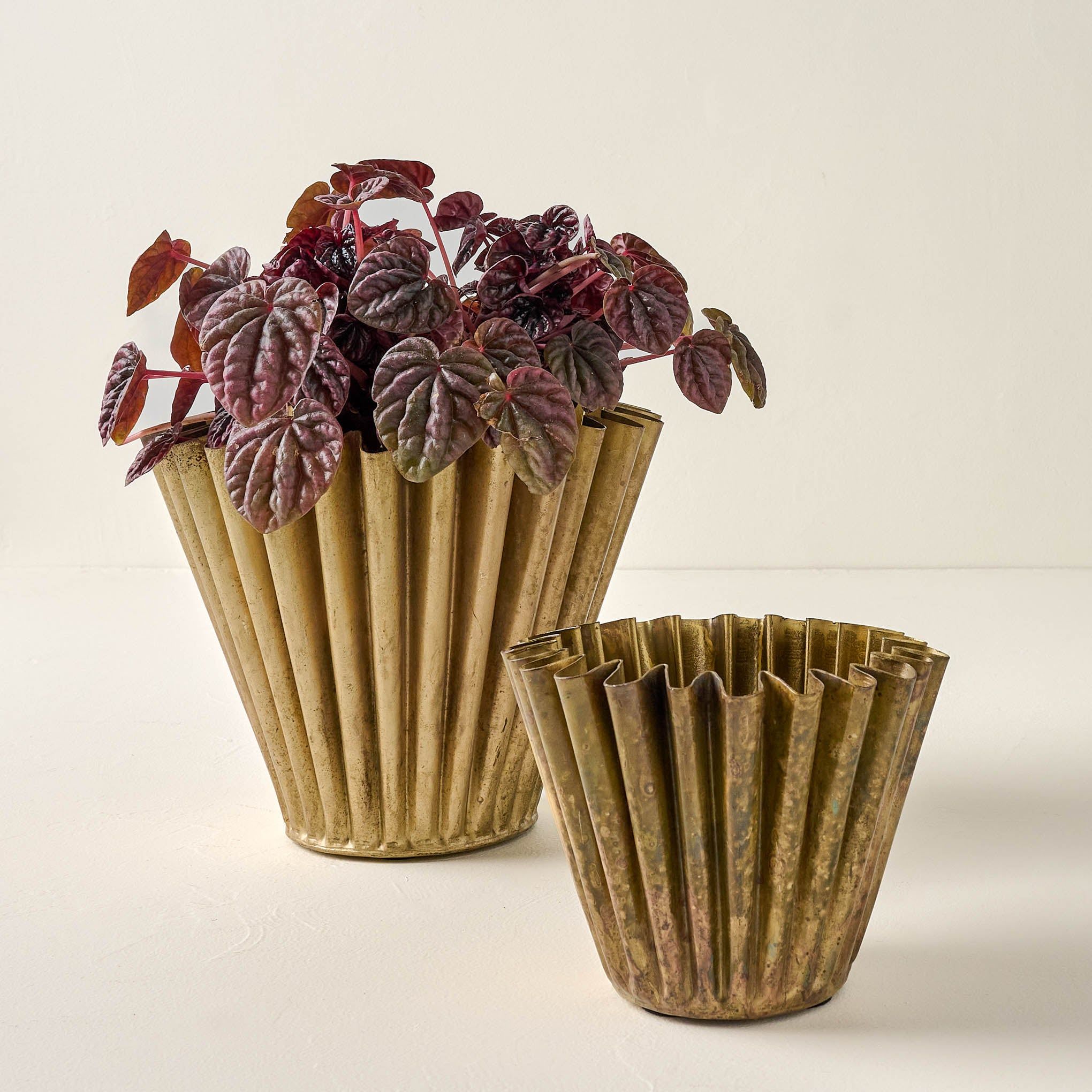 Antique Brass Fluted Planter | Magnolia