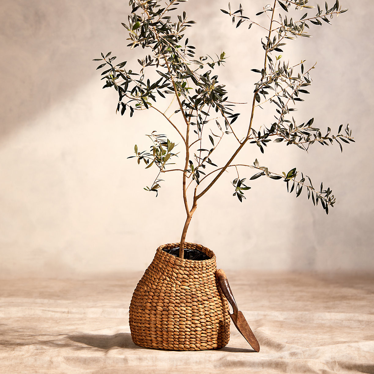 Free Form Woven Basket Pot | Terrain