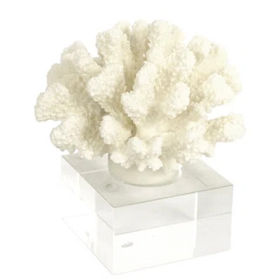 Lidiya Coral on Acrylic Stand Highland Dunes | Wayfair North America