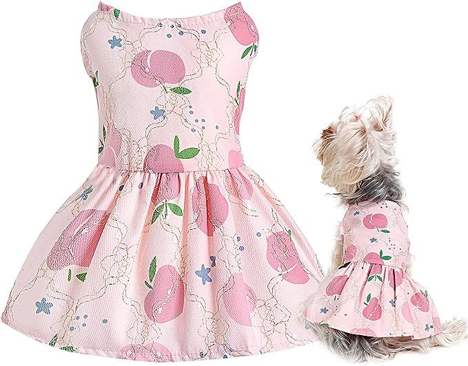 Cute Dog Dress, Dog Clothes for Small Dogs Girl, Lightweight Lacy Outer Layer Puppy Dresses Summe... | Amazon (US)