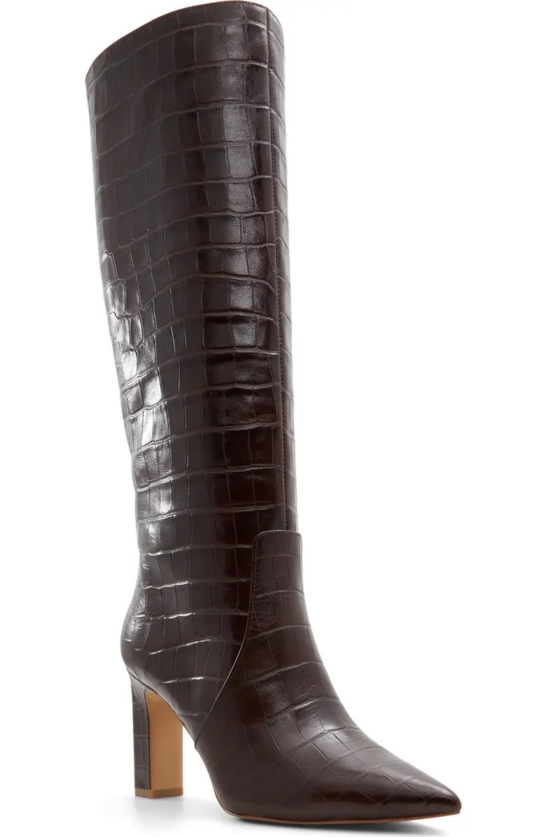 ALDO Cadigoder Pointed Toe Knee High Boot (Women) | Nordstrom | Nordstrom