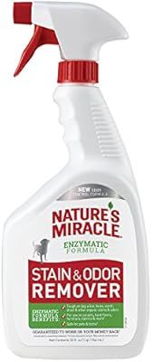 Nature's Miracle Stain & Odor Remover Trigger Spray | Amazon (US)