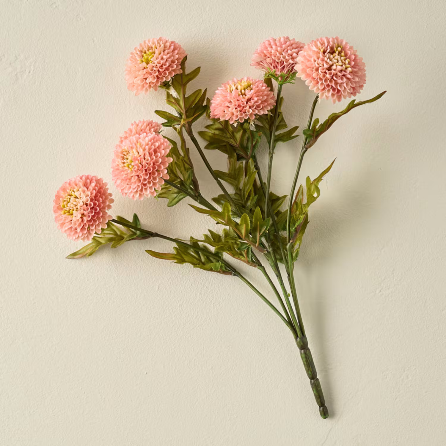 Pink Zinnia Bundle | Magnolia