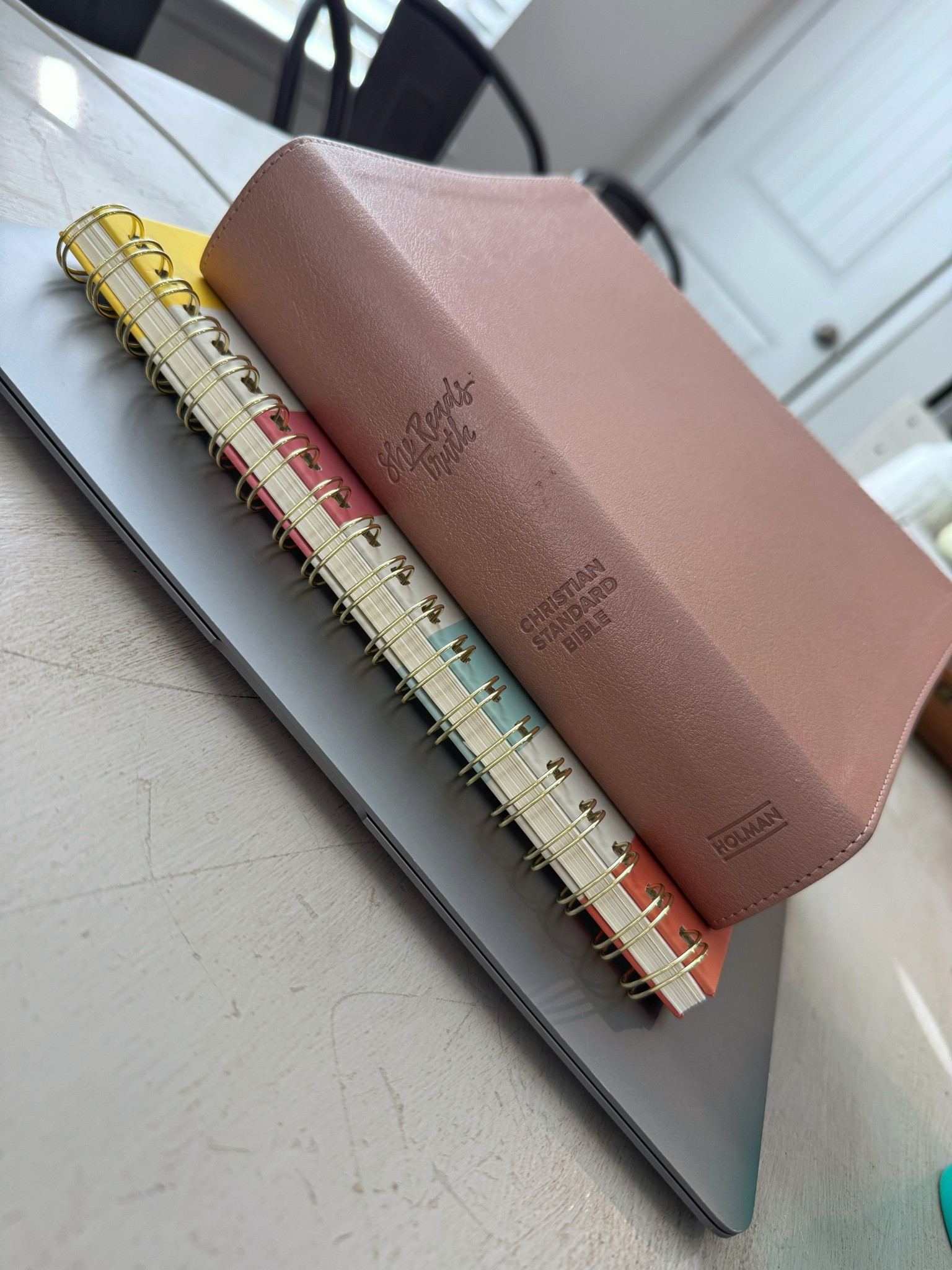 She Reads Truth Bible  

#LTKFindsUnder100 #LTKFamily #LTKHome