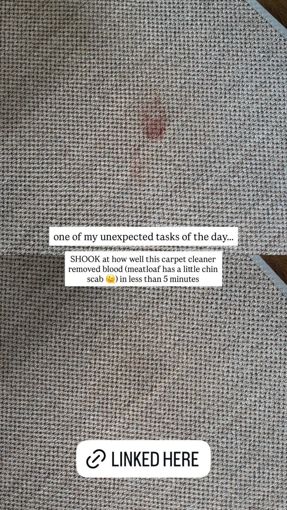 SHOOK at how well this carpet cleaner removed blood (meatloaf has a little chin scab 🫠) in less than 5 minutes  one of my unexpected tasks of the day…..

#LTKHome #LTKdayinmylife #LTKmomlife