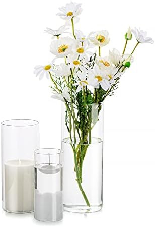 Cylinder Vases, Hurricane Candle Holder Clear 3pcs/Set Different Sizes, Glass Cylinder Vase, Glass V | Amazon (US)