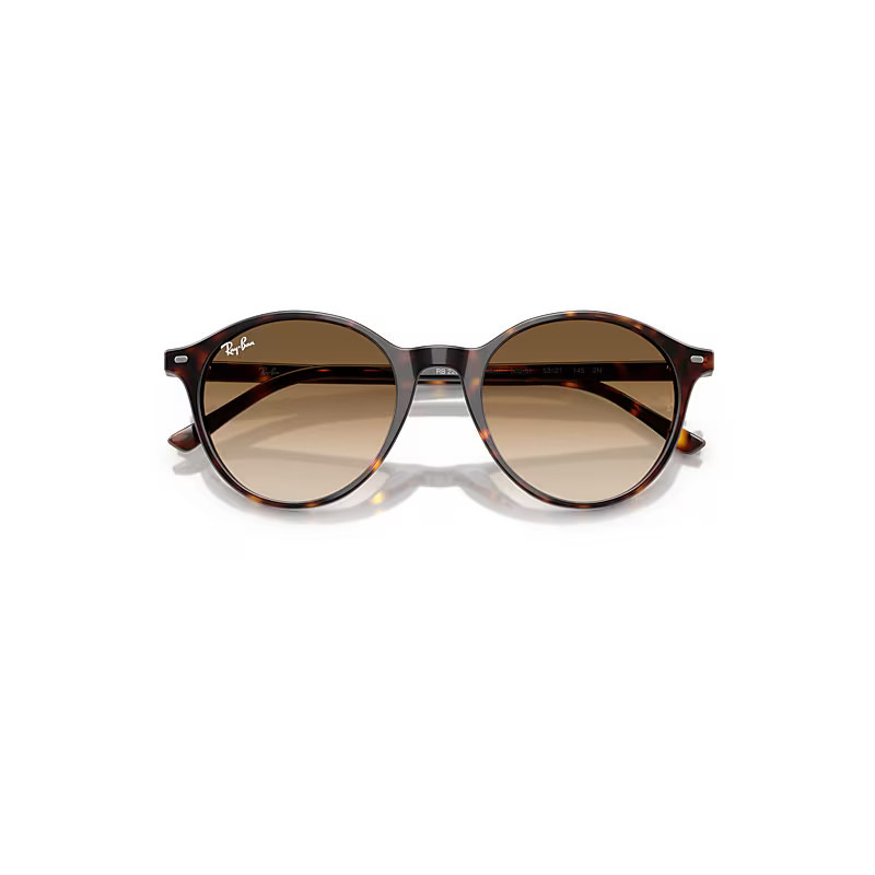 Ray-Ban Bernard Sunglasses Havana Frame Brown Lenses 53-21 | Ray-Ban (US)