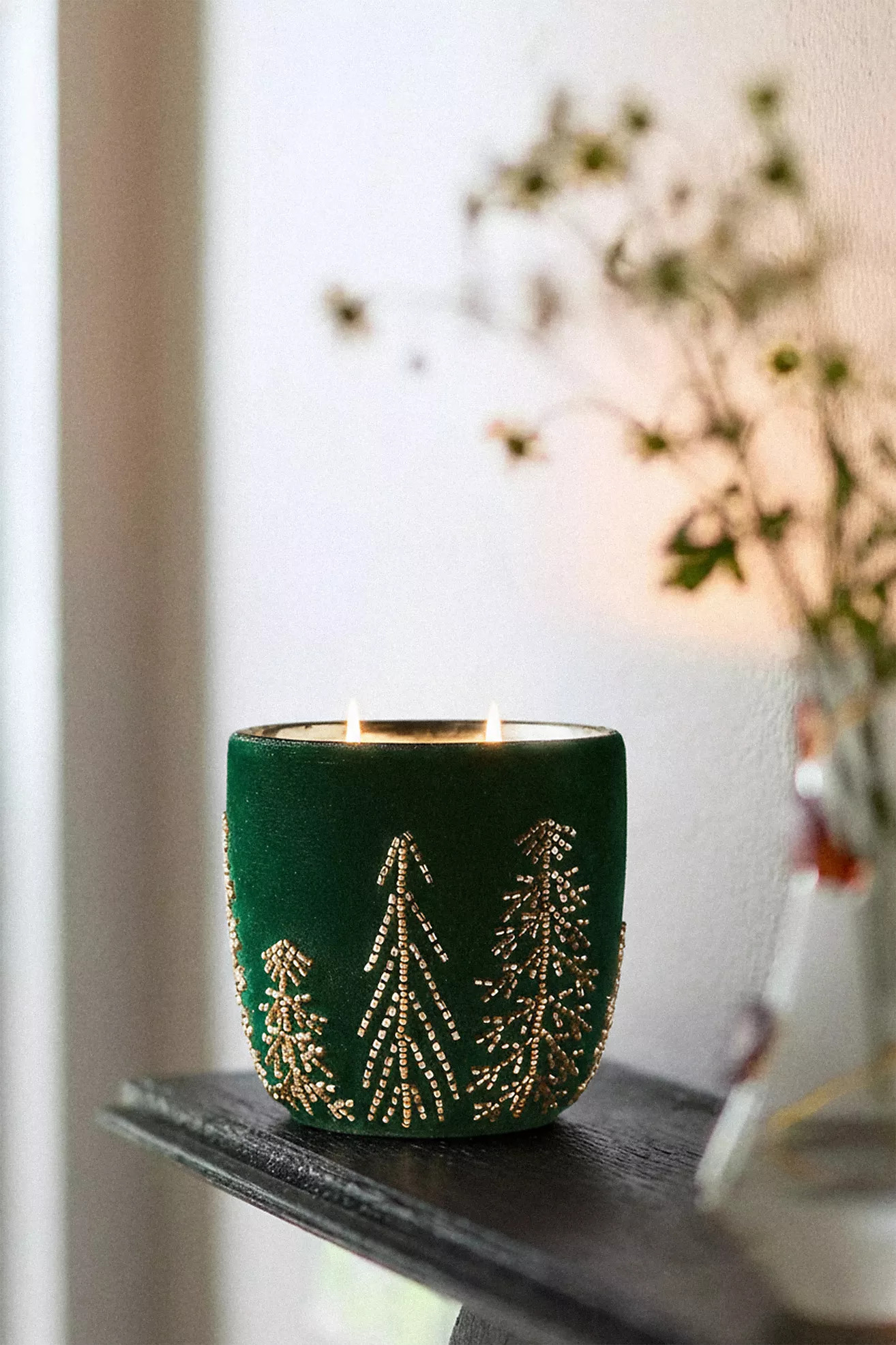 Velvet Forest Woody Juniper & Cedar Glass Candle | Anthropologie (US)