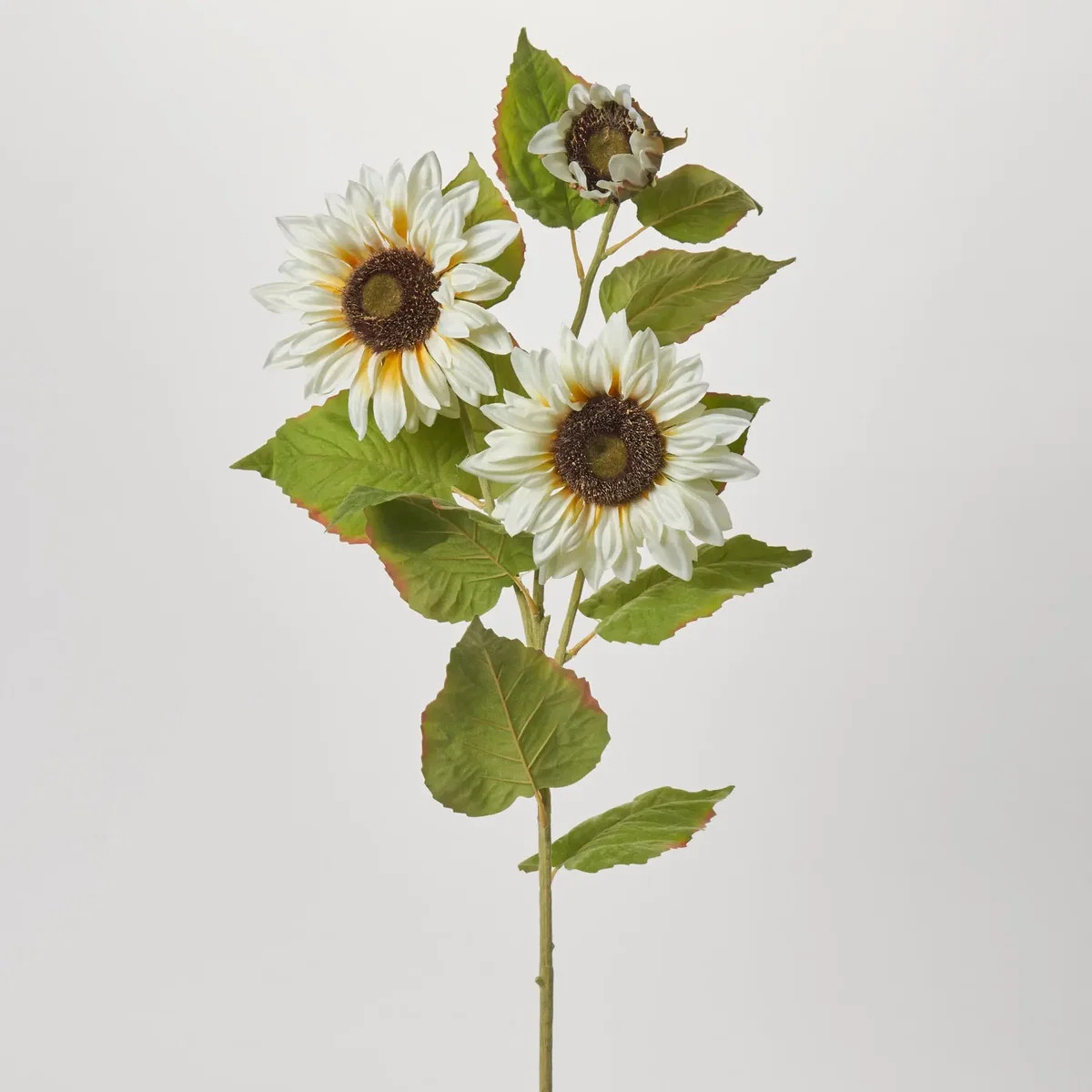 Lifelike Blooming Cream Sunflower Head & Fuzzy Leaf Foliage Stem Spray - 39" | Darby Creek Trading