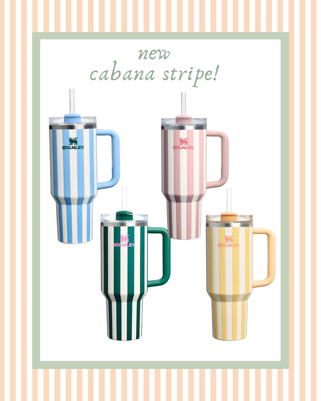 New! Cabana stripe Stanley cup 🩷🫶🏽🩵💛💚