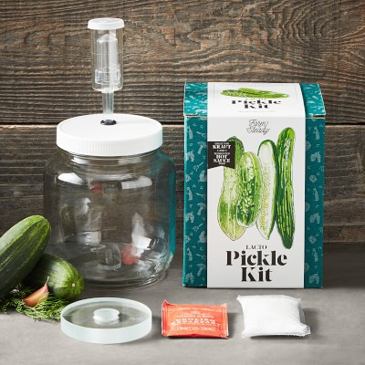 Pickling Kit | Williams-Sonoma