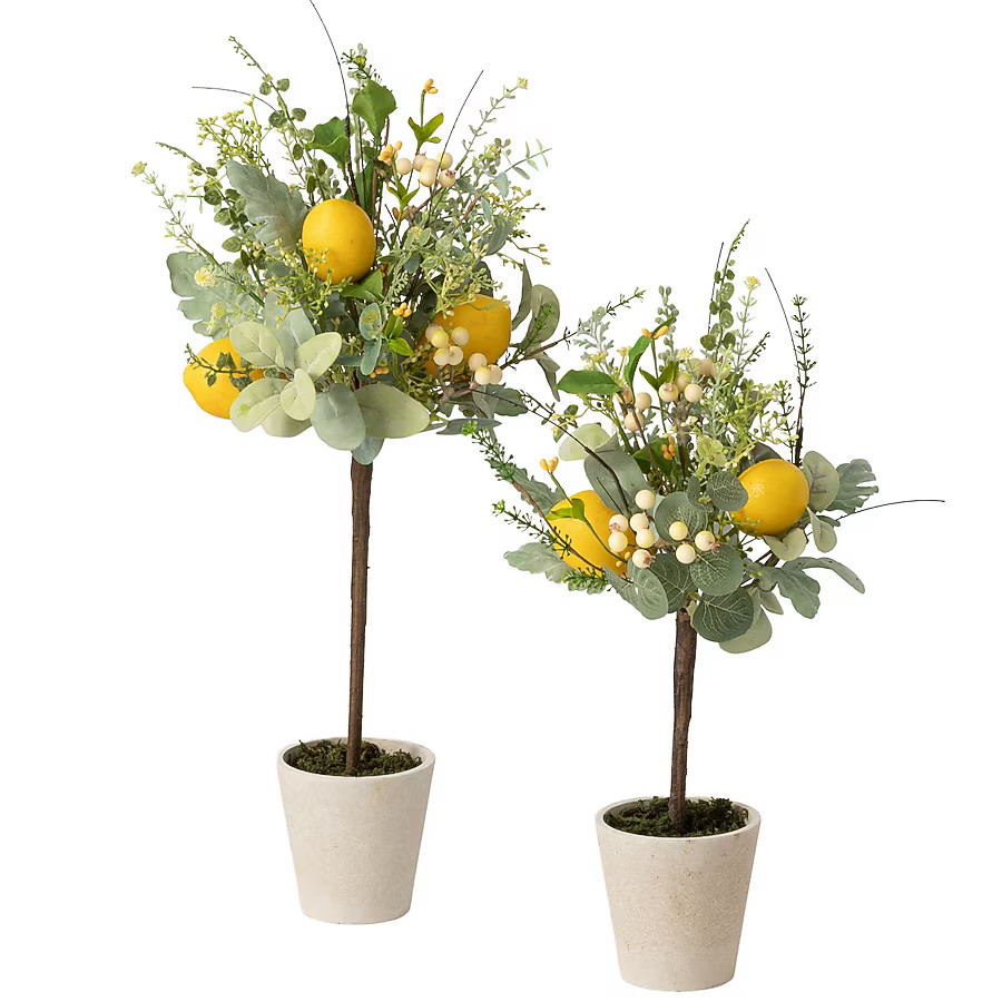 Sullivans 24-Inches Green Indoor/Outdoor Desktop Silk Artificial plant | Lowe's