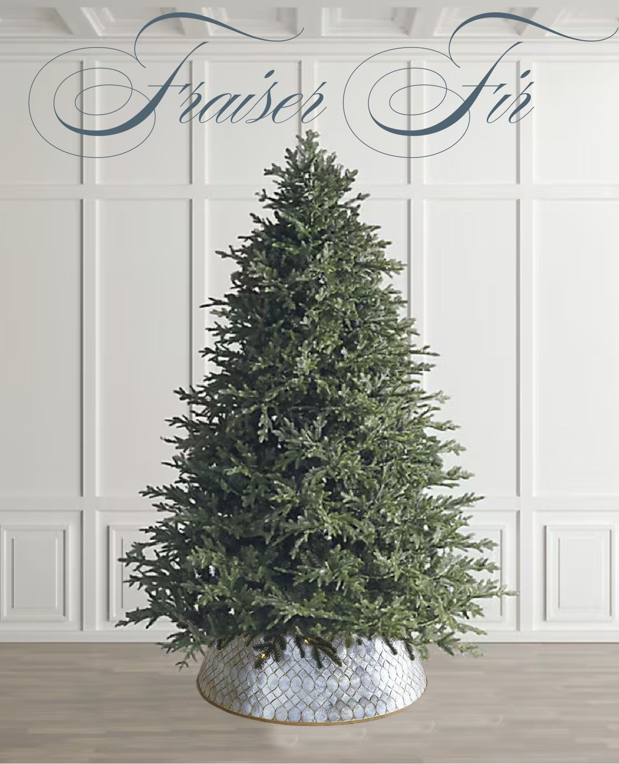 The most gorgeous Frazier line Christmas tree! I’m using this capos tree skirt on mine!