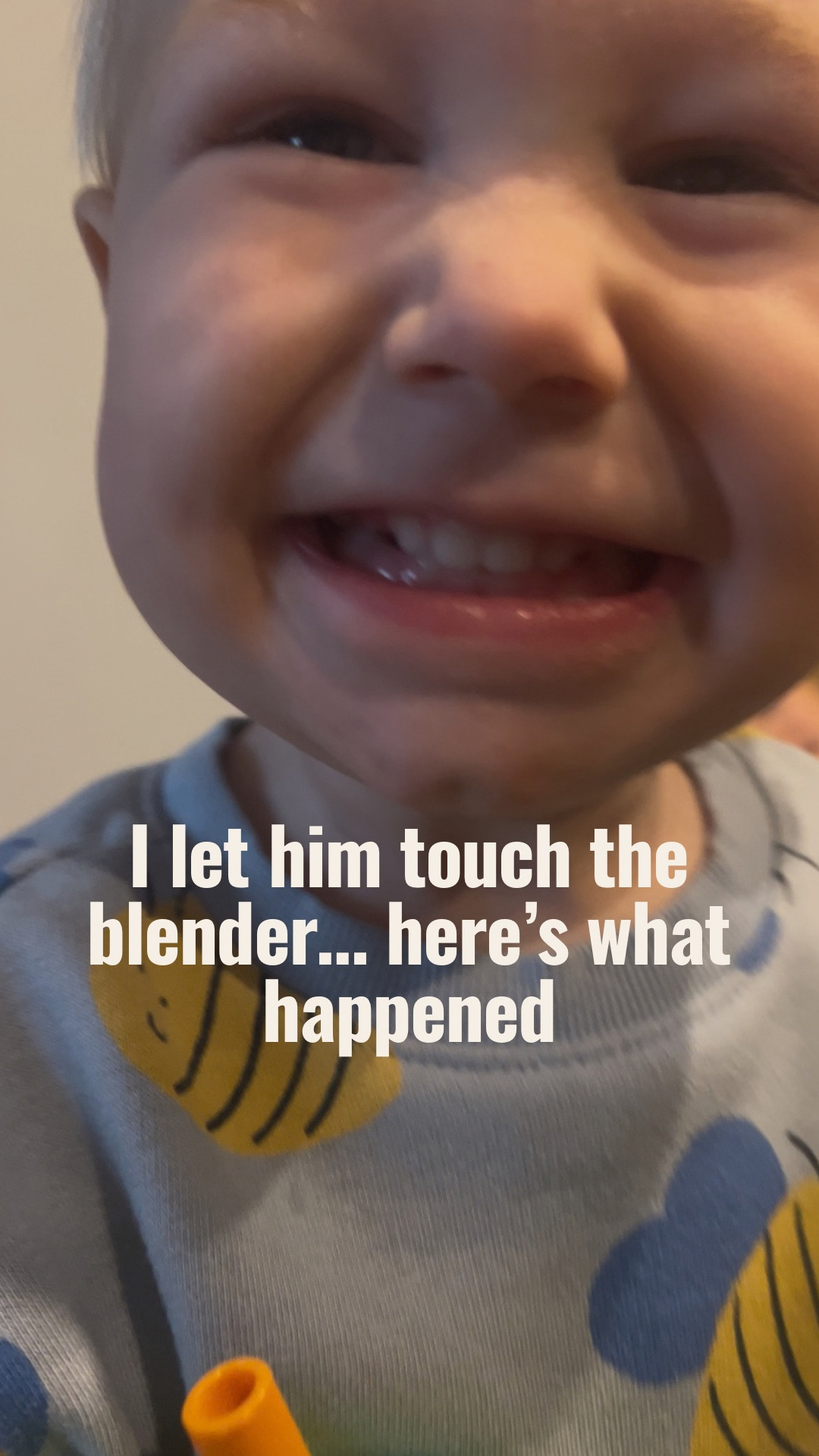 I let my son touch the blender… here’s what happened 😳🥛🍓 Chaos, spills, and somehow we still ended up with a delicious smoothie!

I use my favorite protein powder + greens powder to sneak in extra nutrition (even my kids love it 😋). Perfect for busy homeschool mornings when we need something quick, healthy, and kid-approved.

💚 Grab $10 off Ancient Nutrition in my bio + check my LTK for all my favorite smoothie staples, homeschool hacks, and kid-friendly snacks! 🥤

#KidApprovedSmoothie #ProteinPowderRecipe #GreensPowderSmoothie #HomeschoolMorning #ToddlerChaos

#LTKmomlife #LTKKids #LTKfoodie