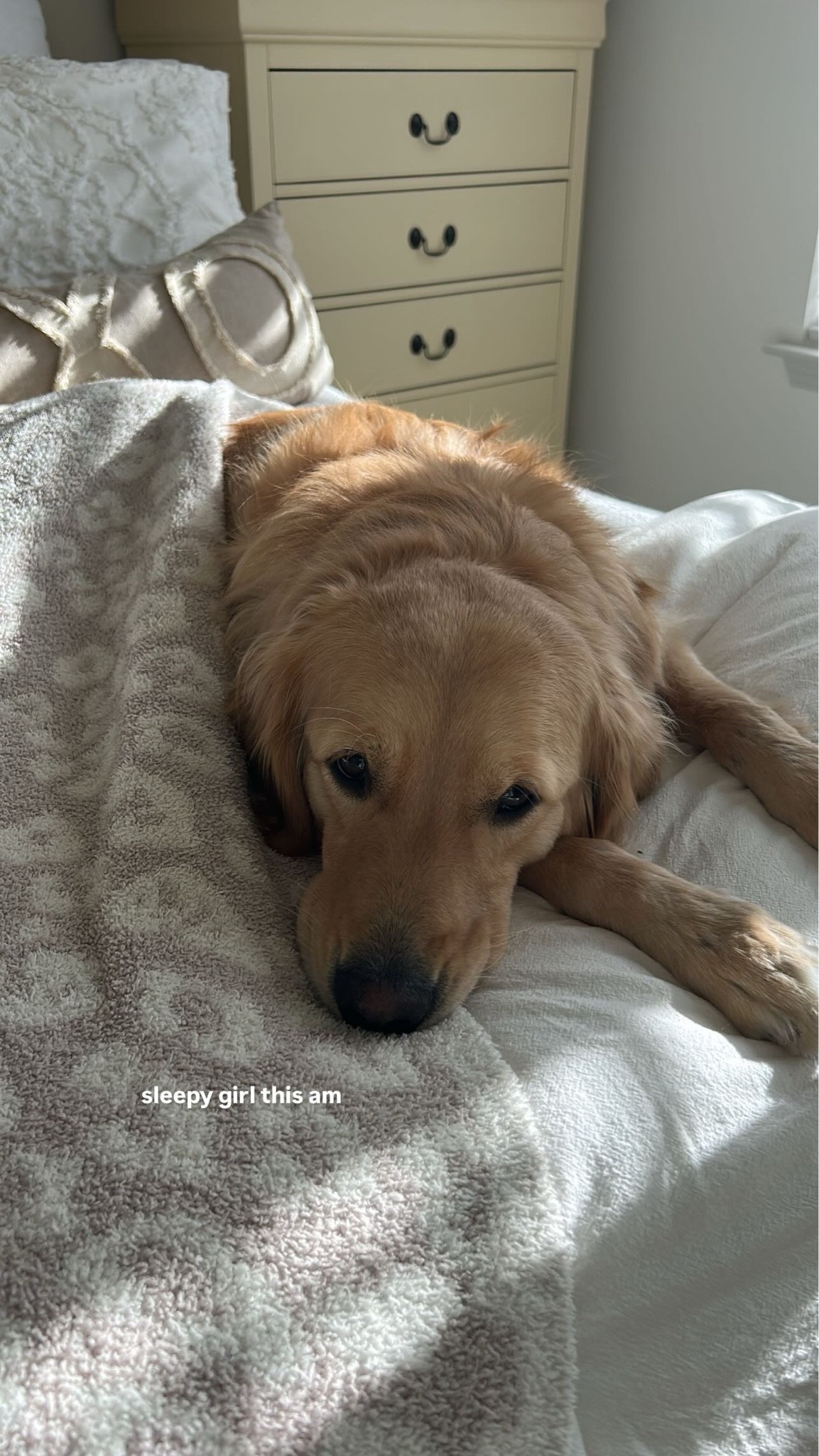 // sleepy girl this am //

#LTKmorningroutine #LTKSeasonal #LTKHome