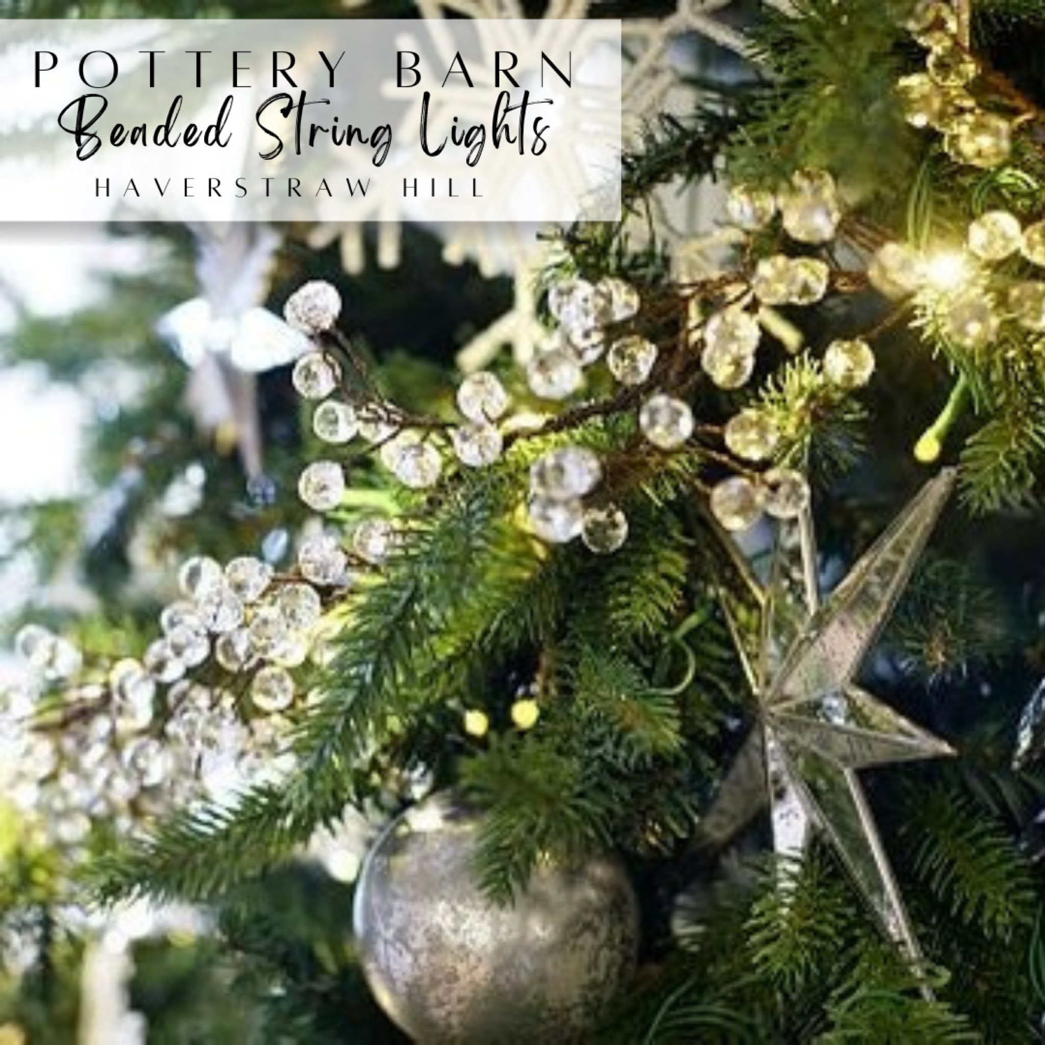 These are spectacular!✨

#LTKHome #LTKParties #LTKSeasonal