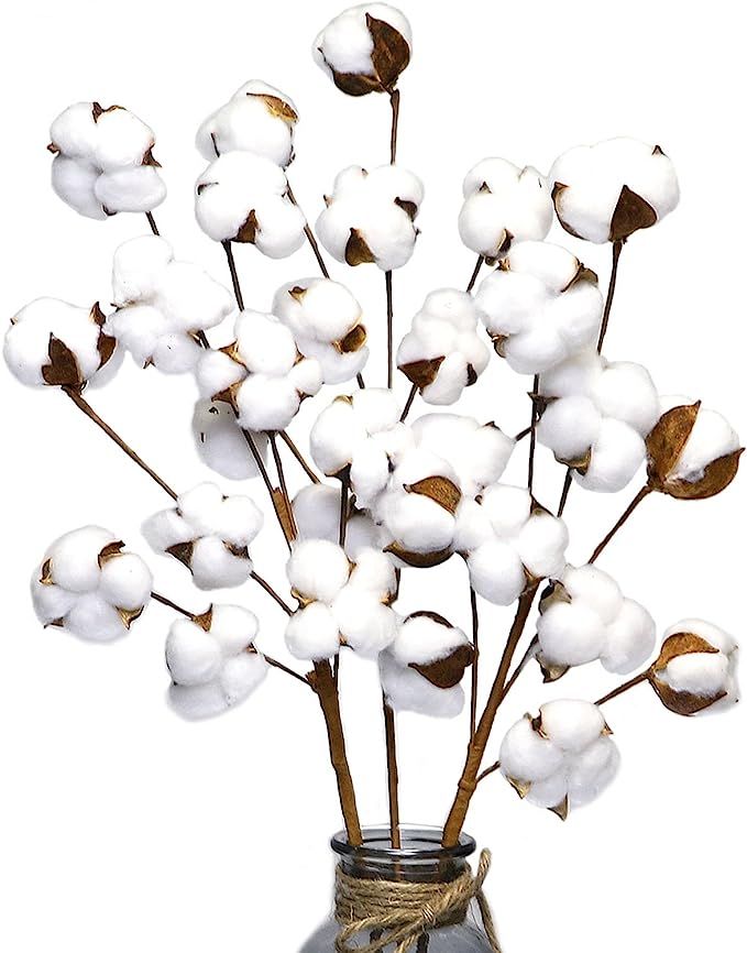 Coceca Cotton Stems, 3 Pack 10 Balls Per Stem, 23 Inch Cotton Stalks Flowers, Cotton Floral Stems... | Amazon (US)