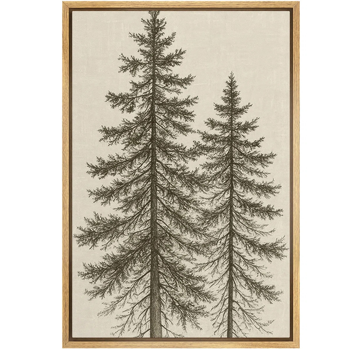 Tall Pine Trees Classic Botanical Nature Art – Pictures Framed Canvas Print Wall Art | Wayfair North America
