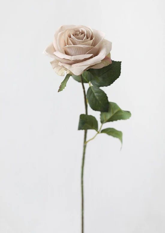 Artificial Flowers Rose in Taupe Beige - 21.5 | Afloral (US)