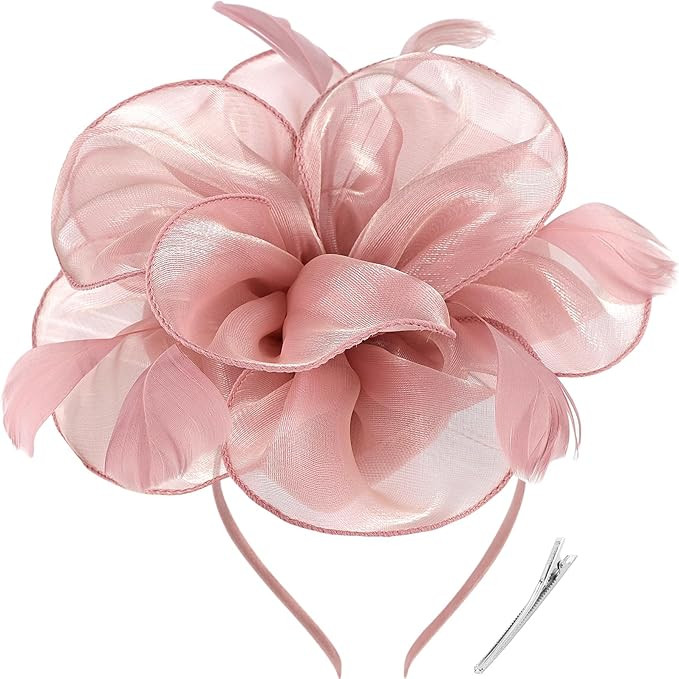 DRESHOW Fascinators Hat Tea Party Headwear Ribbons Feathers on a Headband and a Clip for Women | Amazon (US)