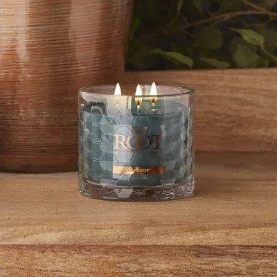 Bayberry Scented Jar Candle | Wayfair North America