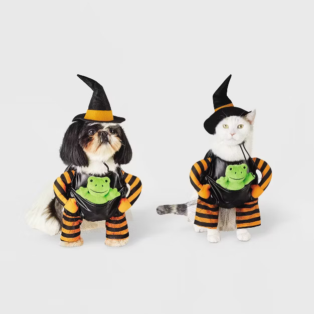 Witch with Toy Frog Dog and Cat Costume - Hyde & EEK! Boutique™ | Target