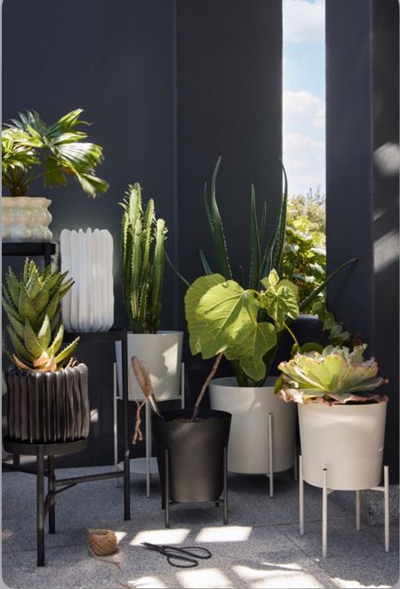 These planters are on SALE

Modern planters / organic modern / 

#LTKhome #LTKsalealert