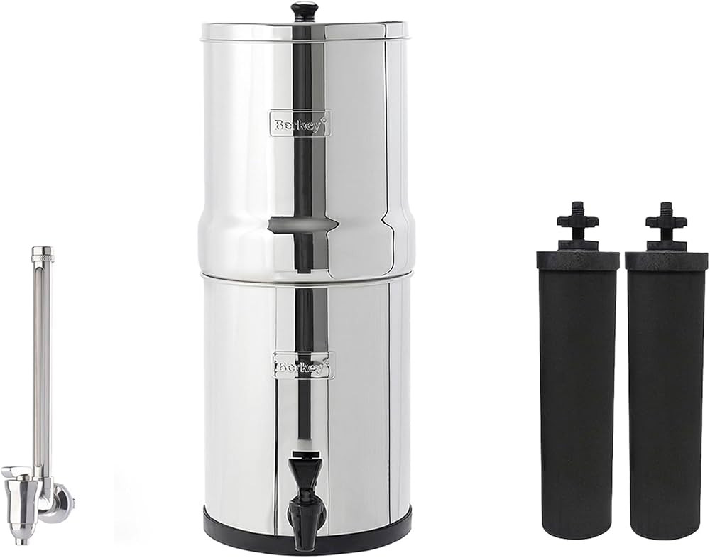Travel Berkey Gravity-Fed Water Filter System with 2 Black Berkey Elements Plus Deluxe 7" Stainle... | Amazon (US)