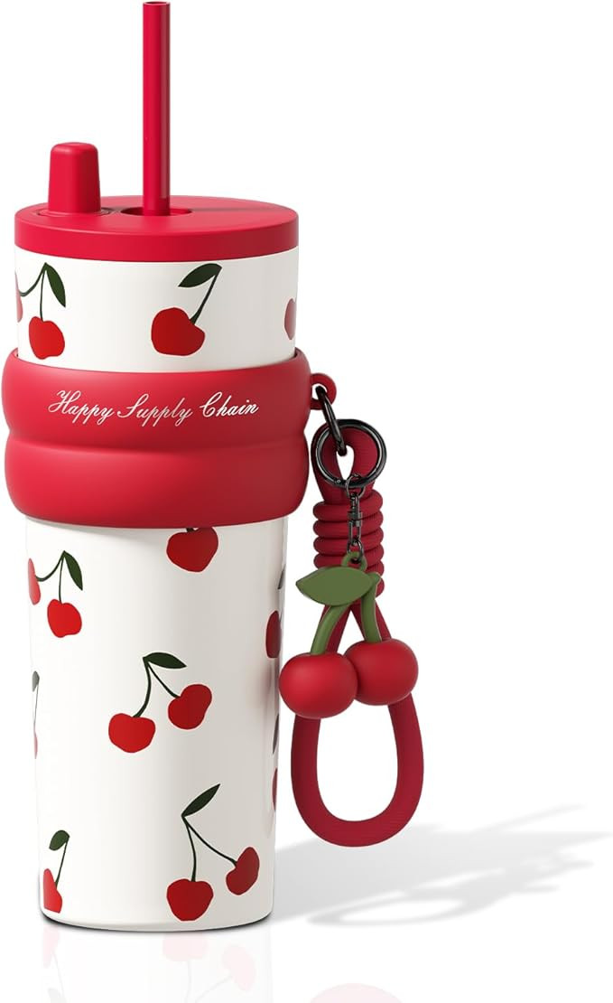 24 oz Stainless Steel Tumbler with Lid and Straw, Insulated Water Bottle Leak Proof for Hot and C... | Amazon (US)