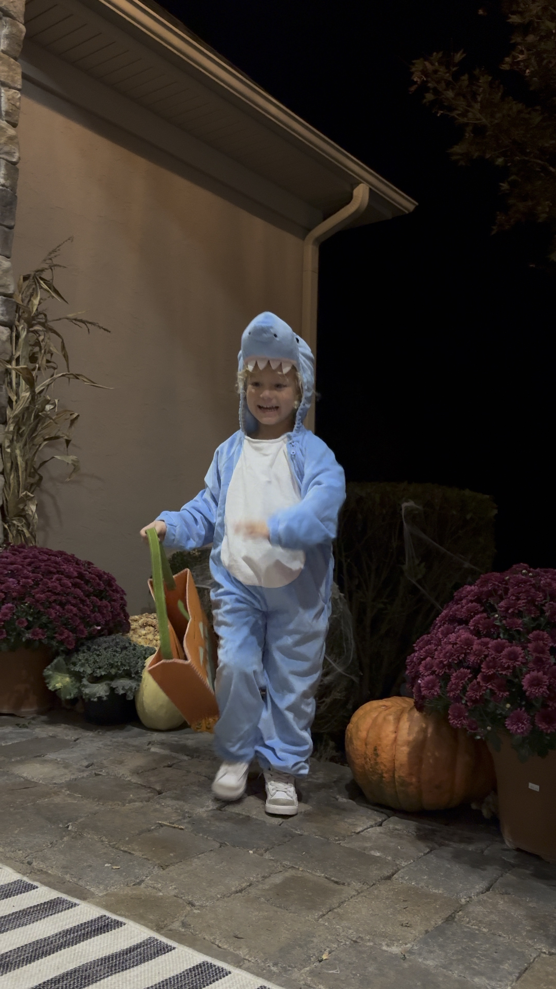 Baby shark Halloween costume @target 

#LTKfindsunder50 #LTKkids #LTKHalloween