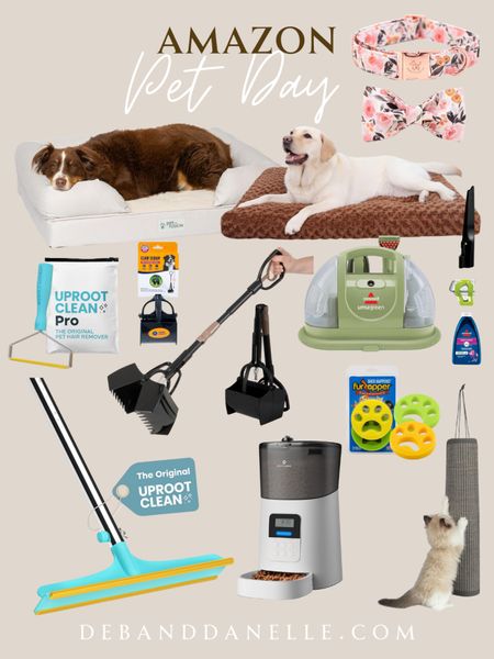 Today is the last day of Amazon’s Pet Day sale event! Here are some great pet items to spoil your favorite cats and dogs! 

#LTKSaleAlert #LTKGiftGuide