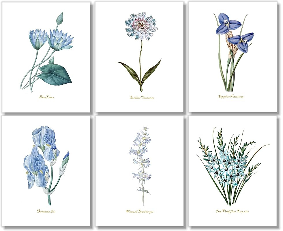 Blue Flower Wall Art - Vintage Floral Wall Decor - Botanical Prints - Unframed (8x10) | Amazon (US)