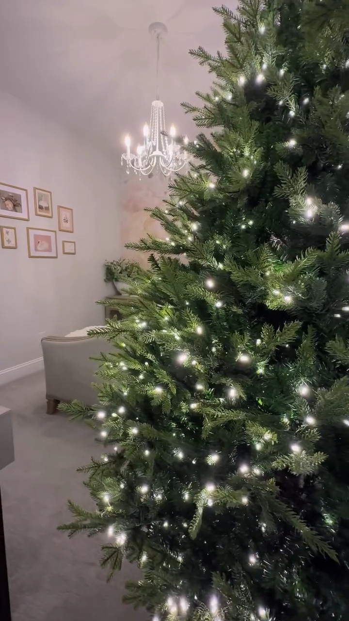 My Christmas tree is just so pretty on its own 🎄✨ Stay tuned to see it all decked out in Victorian-style decor. 

#ChristmasDecor #HolidayVibes #ChristmasTree #HolidayDecor #HomeFinds #LTKFinds #DecorInspo #AmazonFinds #foryoupage #classicchristmas #traditionalchristmas

#LTKHome