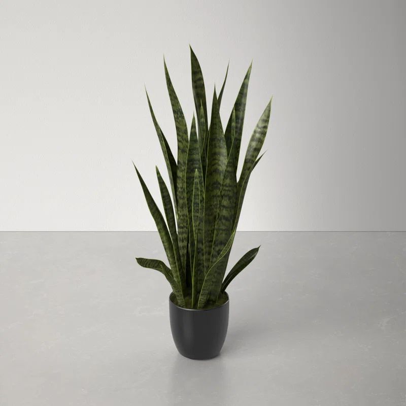 38'' Faux Snake Plant (Sansevieria) Plant in Planter | Wayfair North America