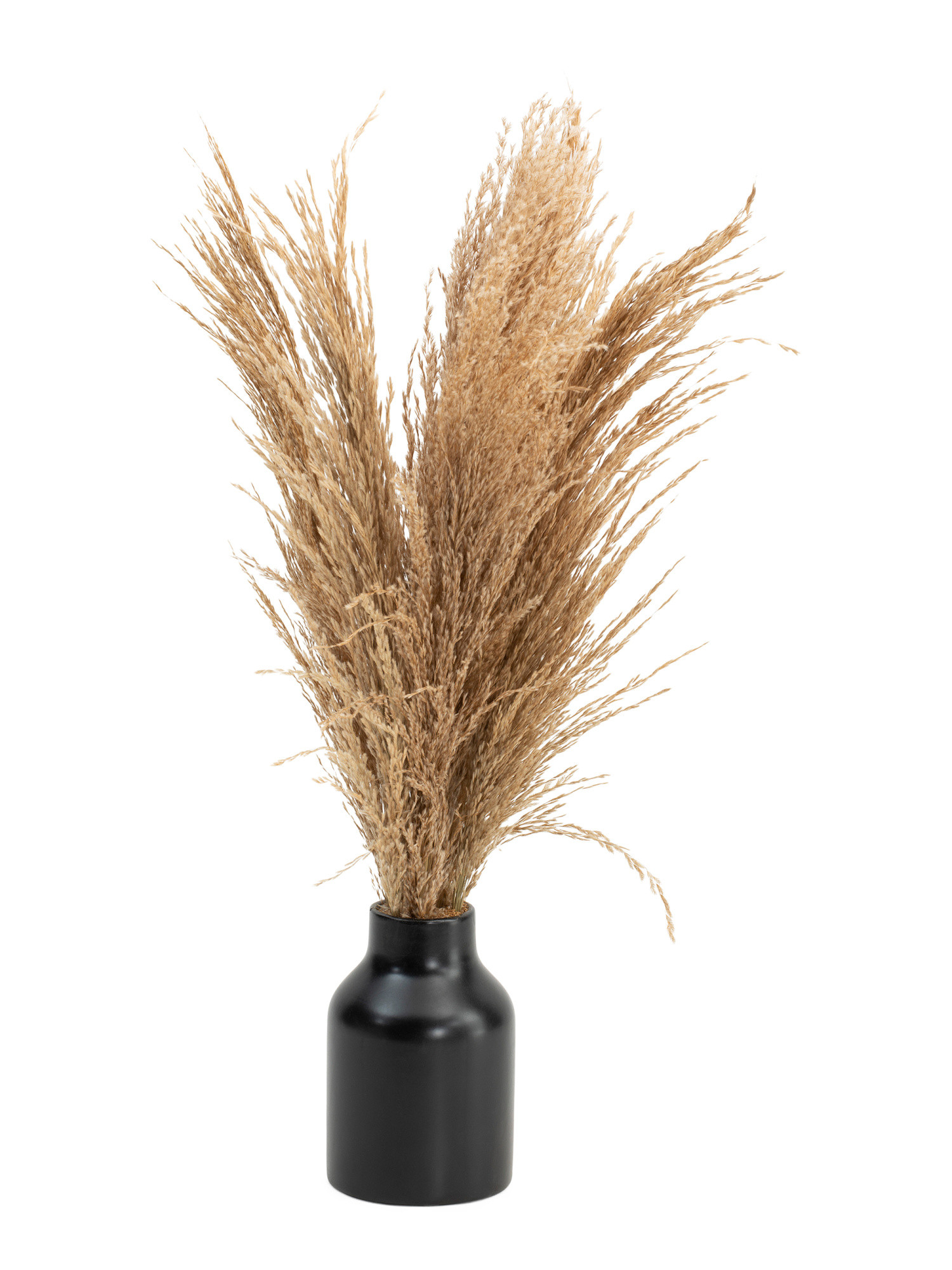22in Pampas Grass In Mod Vase | TJ Maxx