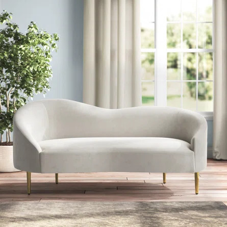 Willa Arlo Interiors Shurtz 67" Velvet Curved Loveseat | Wayfair | Wayfair North America