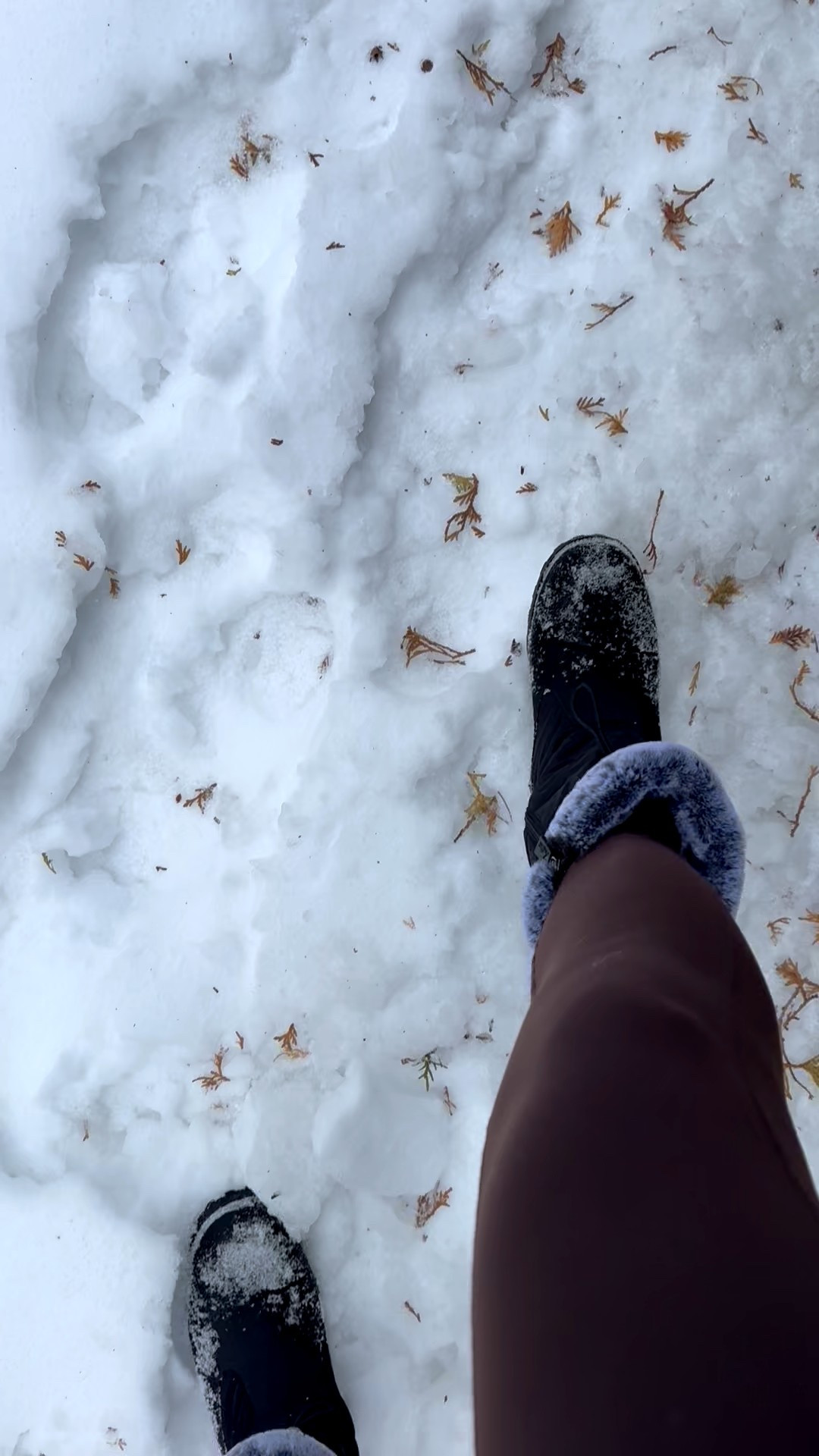 #winter #legging

#LTKGiftGuide #LTKHoliday