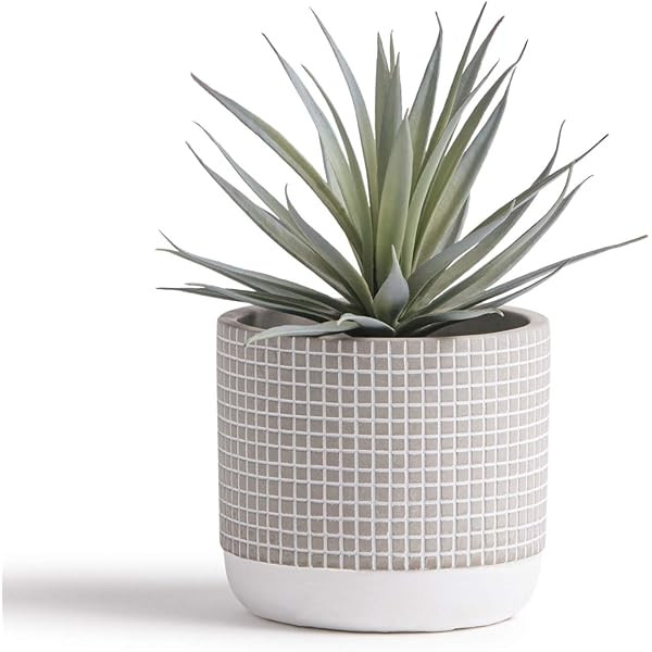 Kurrajong Farmhouse 8" x 4.5" Artificial Plant in Pot - Beautiful Faux Plant for Bedroom Decor, Shel | Amazon (US)