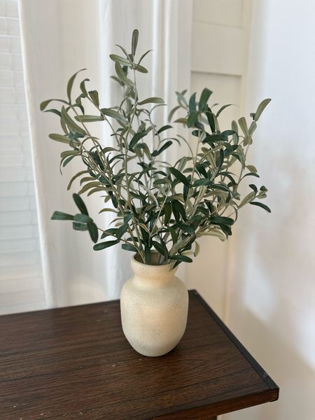 Olive tree potted decor from Studio McGee at Target, love this for console table decor, so pretty! Perfect for Spring 

#LTKMostLoved #LTKfindsunder50 #LTKhome