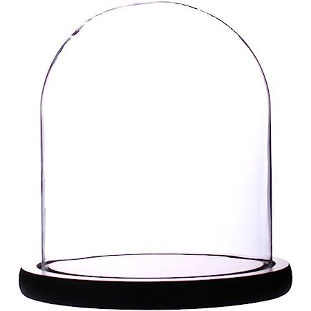 CYS EXCEL Dome Glass Cloche with Black Wood Base (H:14.7" D:7") | Multiple Size Choices Decorativ... | Amazon (US)