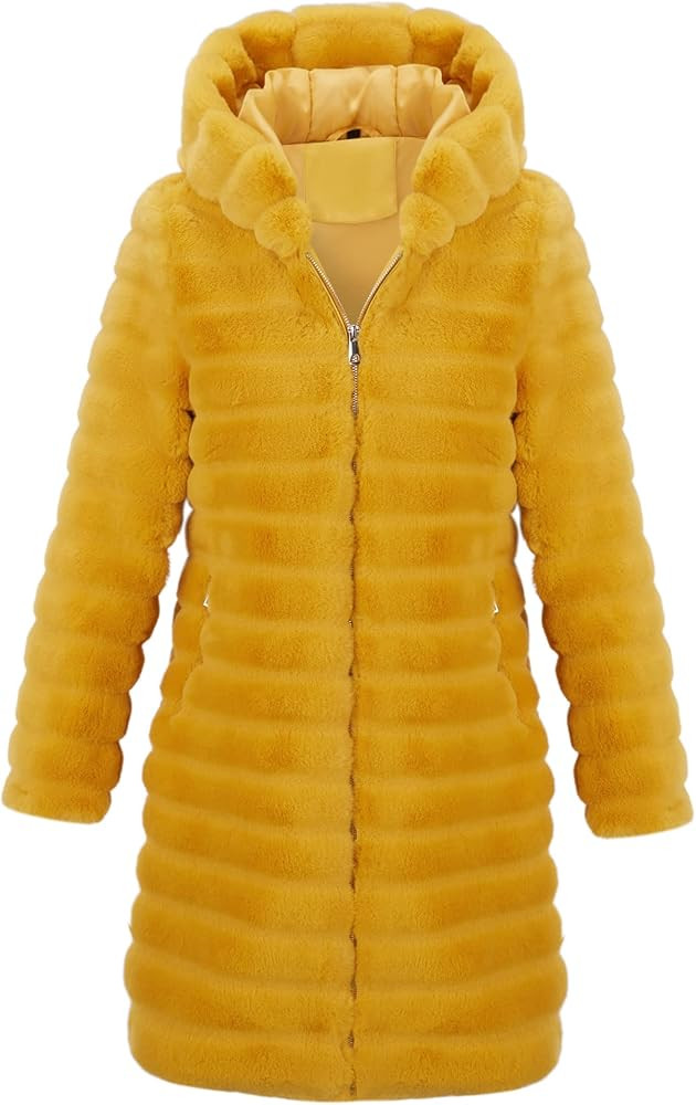 RISISSIDA Women Long Faux Fur Coat Fuzzy Faux Fur Jacket Winter Spring Fall Fashion, Thermal Loos... | Amazon (US)