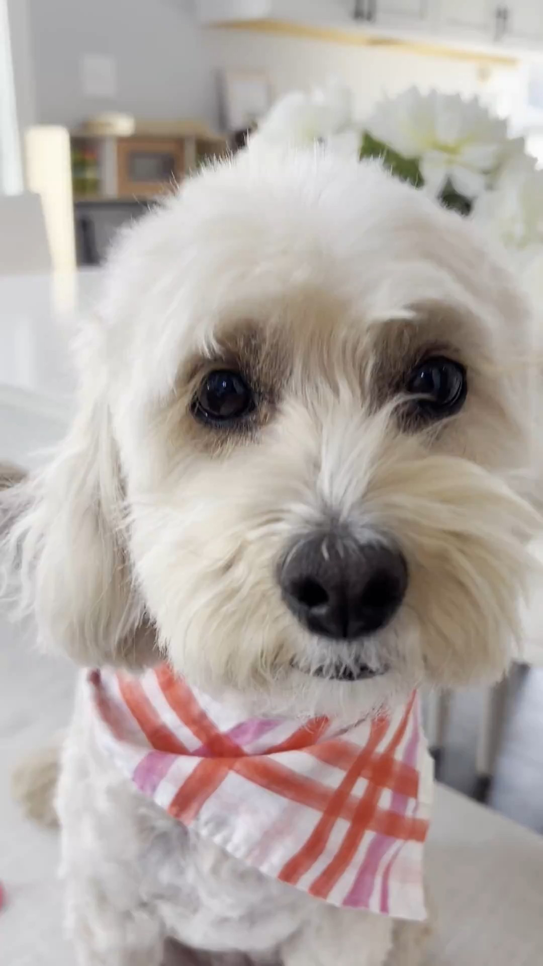 #LTKHome #LTKdayinmylife #LTKmomlife